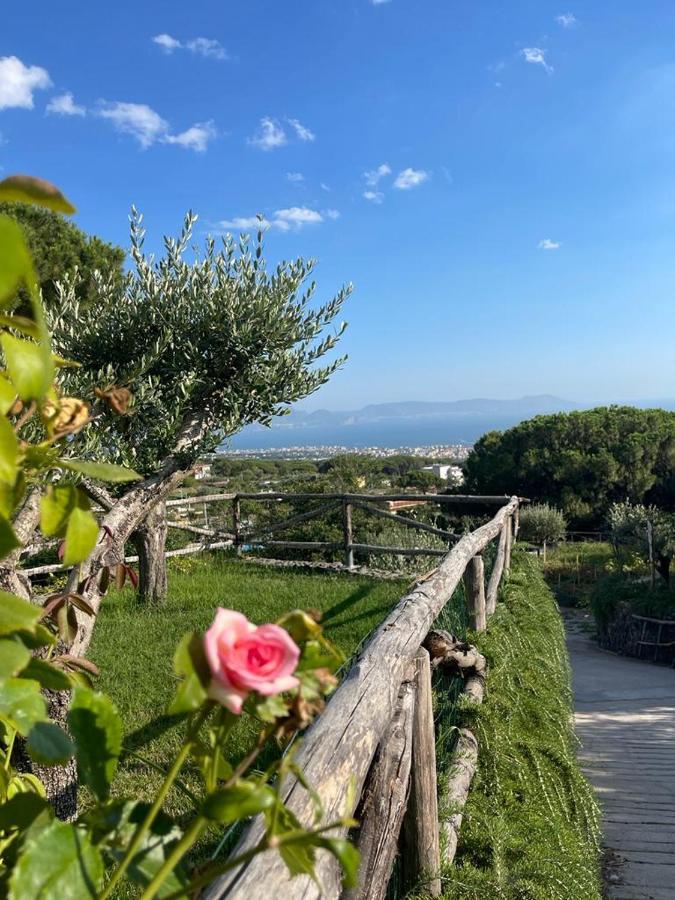 B&B Sunset Ercolano Exteriör bild